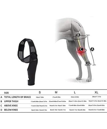 Dog Leg Bracket Pet Dog Leg Support Bracket Dog Hind Leg Protection Device Adjustable Knee Bracket Leg Bracket Dog Arthritis Bracket for Dog Hind Leg Rehabilitation M - Buy Online on GoSupps.com