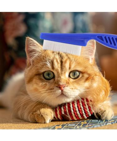 Premium 6-Part Pet Grooming Massage Comb Set for Cats & Dogs - Effective Flea Lice & Tick Removal Tools - Buy Online on GoSupps.com