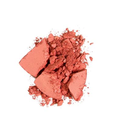 ARTDECO Silky Powder Blush for Sensitive Skin - Sustainable Terracotta Blush 4g | International Shipping Available - Buy Online on GoSupps.com