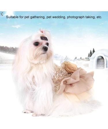 Bling Dog Dress Comfortable Dog Luxury Princess Wedding Dress Shiny Pet Lace Dress Sequined Princess Summer Pet Cloth for Small Dog Puppy(Gold L) - Buy Online on GoSupps.com