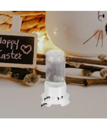 Yardwe Ant Water Feeders 2pcs Ant Mini Liquid Feeder Plastic Transparent Bird Water Dispenser Ant Breeding Containers Nest Ant Farm House for Ant - Buy Online on GoSupps.com