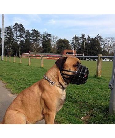 L&J Pets Uk Light leather Dog Muzzle for Dogue de Bordeaux and Bullmastiff and Other Black Leather DB3 - Buy Online on GoSupps.com