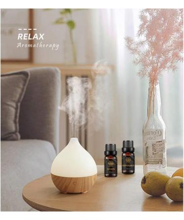 Aromatherapy Ginger Essential Oil Set for Diffuser 100% Pure Cinnamon Essential Oil Kit for Humidifier 10x10ml Therapeutic Grade Essential Oils Set - Clove Eucalyptus Frankincense Peppermint Oil - Buy Online on GoSupps.com