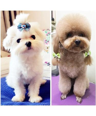 pengxiaomei 50 PCS Dog Hair Bows Pet Hair Bows Tie Puppy Rubber Bands Hair Grooming Accessories - Buy Online on GoSupps.com