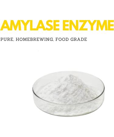 Amylase Enzyme (1lb)| Packed in Canada| 100% Food-Grade Enzyme Formula Non-GMO| Increase Fermentation Used for Homebrewing Process in Beer Making| by Elo s Premium - Buy Online on GoSupps.com