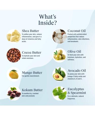 Arata Moisturizing Body Lotion for Dry Skin | Ayurvedic Cocoa Butter Coconut Oil & Shea Butter | Natural Vegan & Cruelty Free | 10 Fl Oz | International Shipping - Buy Online on GoSupps.com