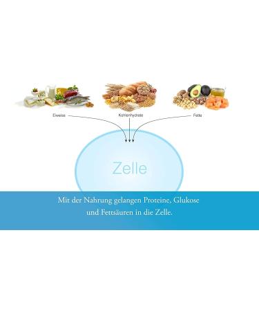 Buy 2x George Birkmayer NADH - Arthros (60 Capsules 20 mg) | Free Pill Box Offer | PremiumVital International Shipping - Buy Online on GoSupps.com