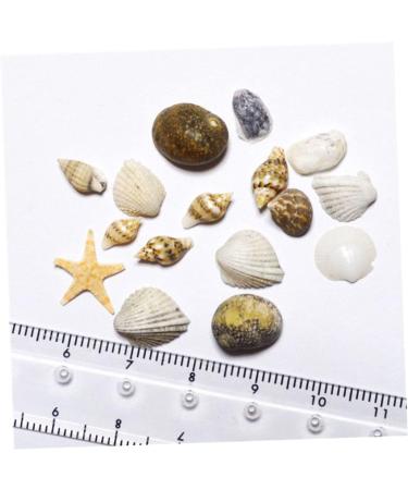 LALAFINA 1 Box Nail Ornament Nail Art Manicure Decoration Conch 3d Nail Stickers - Buy Online on GoSupps.com