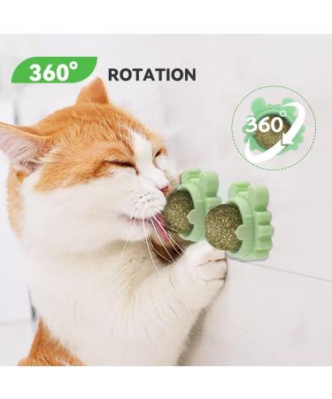 Shop AUCENIX Catnip Balls for Cats - Natural Rolling Cat Toys for Dental Health & Fun (2 Pack - Green) - Buy Online on GoSupps.com