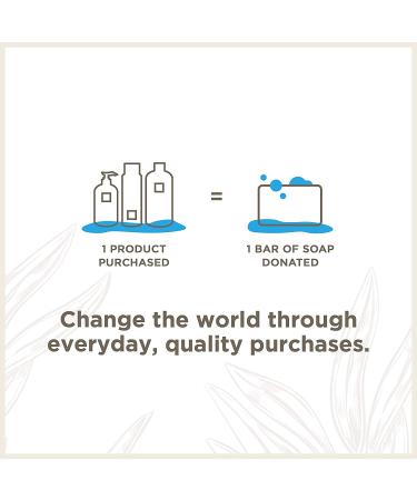 Soapbox Biotin & Superfruit Shampoo - Volumizing Vegan Color Safe 16 Fl Oz (Pack of 3) - Buy Online on GoSupps.com