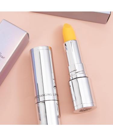 Lip Balm Colorist Water Resistant Makeup Product Waterproof Permanent Skin Tone For Daily Routine Evening Special Event Student Scene - Buy Online on GoSupps.com