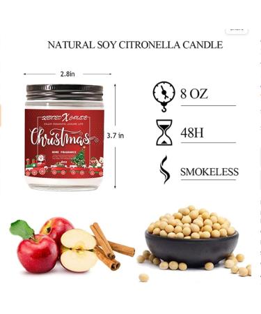 Christmas Scented Candle Gift Set - 8 oz Apple Cinnamon Aromatherapy - Perfect Holiday Gifts for Mom Women & Men - Green Label Santa Red Candle - Buy Online on GoSupps.com