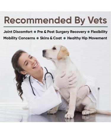 StarryVet Hip&Joints Supplement for Dogs 100Grams Powder Easy to use Advanced Hip and Joint Supplement with Glucosamine MSM Premium Joint Relief Salmon Flavor - Buy Online on GoSupps.com