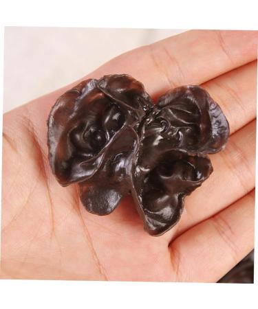 COOPHYA 15pcs Fake Vegetables Realistic Vegetables Faux Veggies Model Agarics Simulation Vegetables Agarics Props Lifelike Veggies Toy Decor Black Fungus Model Food Ornaments Pvc Dark Brown 5.00X4.20X1.00CM - Buy Online on GoSupps.com
