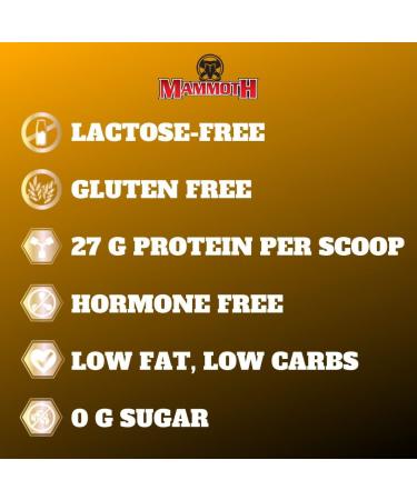 Mammoth Iso-Rush Premium Whey Protein Isolate Fast-Digesting Hormone Free Cross Flow Micro-Filtered (CFM) Sugar Free Bioactive Lactose Free Gluten Free 5 LB (Vanilla Ice Cream) - Buy Online on GoSupps.com