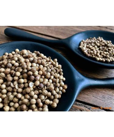 Organic Coriander Seed 50 g - Resealable Biodegradable Freshness Bag (50 g) - Buy Online on GoSupps.com