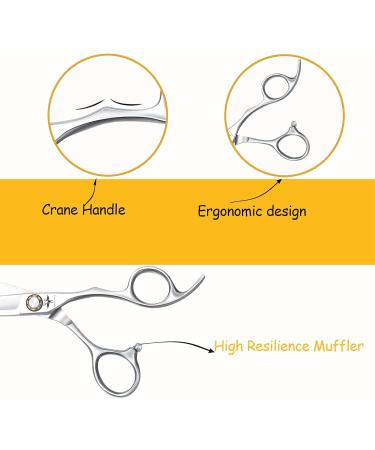 PURPLEBIRD 6 Inch Hairdressing Scissors - Professional Barber Shears with Ball Bearing Tension System - Japanese Stainless Steel - for Men, Women, and Kids - Silver Straight Design - Buy Online on GoSupps.com