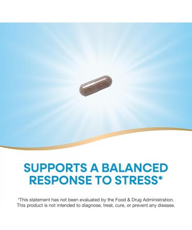 Wellova Women's Ashwagandha | Promotes Stress Relief & Mood Support | Supports Clarity & Memory | Provides Focus and Increased Energy | Superior Pure Organic Absorption | 60 Capsules - Buy Online on GoSupps.com