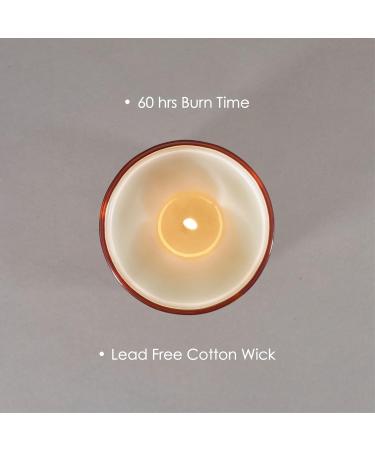 Organic Large Tropical Candle: Guava & Lychee Rejuvenation (280g/60hrs) | Vegan Soy Wax Blend with Exotic Flowers | Ideal Gift for Women & Men | Home Supplys - Buy Online on GoSupps.com