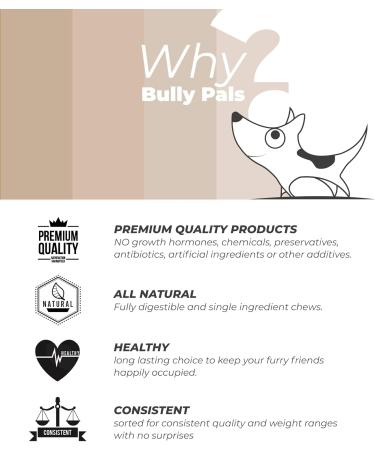 BULLY PALS - 6 inch Beef Jumbo Collagen Sticks - Dog Dental Chew - 9 Pack - Rawhide Free Long Lasting Alternative to Bully Sticks All Natural Protein Rich - Buy Online on GoSupps.com