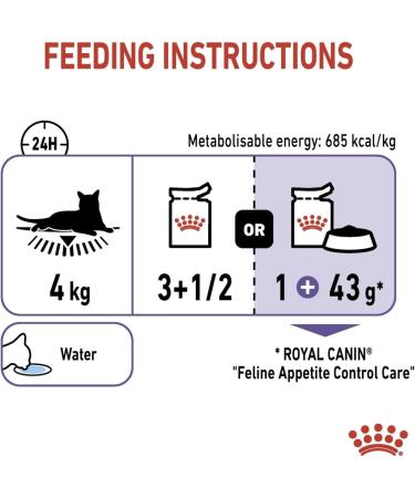 Royal Canin Appetite Control in Jelly Wet Adult Cat Food (48 x 85g) - Buy Online on GoSupps.com
