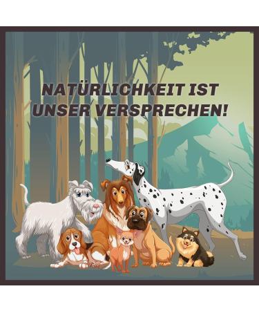 BV Petcare Coffee Wood Causab Chewing Bones | Natural Dog Toy for Dogs Up to 25 kg Best International Shipping - Buy Online on GoSupps.com