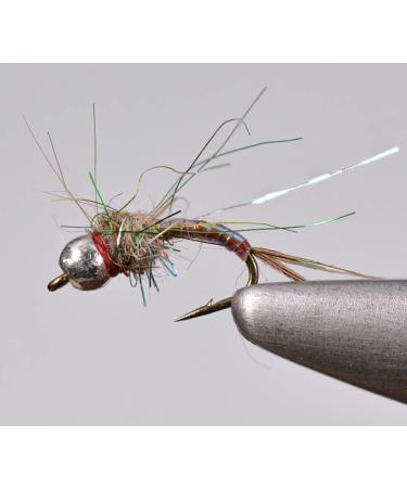 Region Fishing Tungsten Bead Rainbow Warrior Midge Nymph Fly | 12 Flies | Mustad Signature Hooks Assortment
