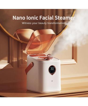 Qbkohphifm Nano Ionic Face Steamer Deep Clean Moisturizing Steaming Face Skin Care Hot Cold Sprayer Steamer Spa Sprayer Easy Install A - Buy Online on GoSupps.com