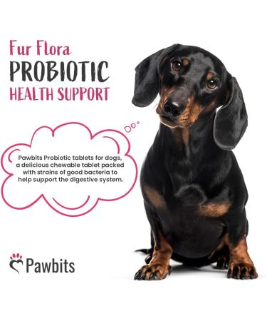 Canine Probiotics & Prebiotics Tablets for Dogs - 5 Billion CFU Chewable Supplements - 10 Strain Complex for Digestive & Gut Health - Chicken Flavour - 180 Tablets - Buy Online on GoSupps.com