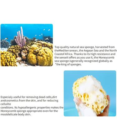 FIOERDTUIE Multi-functional Natural Sea Sponge Wide Application Easy To Clean Super Soft Natural Sea Sponges For Bathing - Buy Online on GoSupps.com