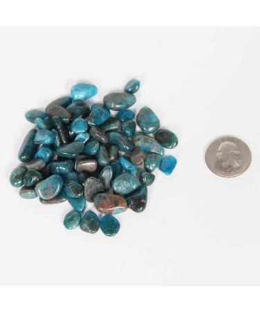 Buy Orienttrea Blue Apatit Drum Stones - 500g Healing Gemstones in Gift Box | Premium Mini Chips for Energy & Chakra Healing - Buy Online on GoSupps.com