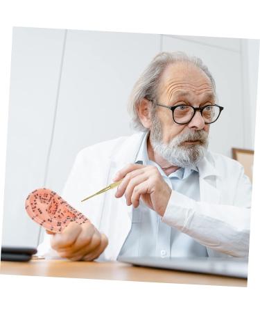 Healeved 2 Sets Auricular Tools Household Tools Model Kits Magnet Ear Beads Patch Acupoint Ear Stickers Self Caring Products Set Disposable Silicone Pe Aluminum Alloy Assorted Colorx2pcs 10x6x0.6cmx2pcs - Buy Online on GoSupps.com