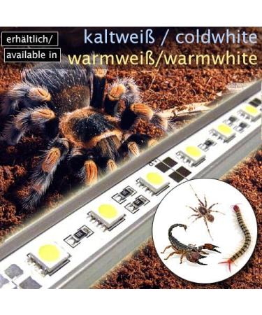 OCS.tec 30cm LED Lighting for Terrarium & Aquaterrarium | Cold White Simulator for Reptiles Amphibians Insects - TB7 - Buy Online on GoSupps.com