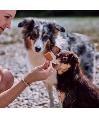 Vegdog Jerkeys Vegan Dog Snacks - Grain-Free Carrots & Potatoes Allergy-Friendly Smoked Over Beech Wood 9 x 80g Pack - Buy Online on GoSupps.com