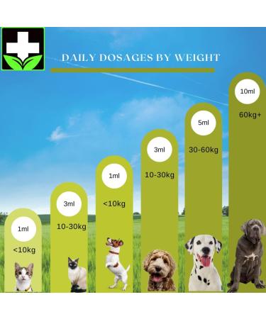 Pet Hemp Oil 225 000 Mg (8 oz) Extra Strength Formula - Peanut Butter Flavoured - Derived Hemp Seed Oil - Hip Joint Support and Skin Coat Health Non-GMO Omega 3 6 9 Balance Oil Made in Canada - Buy Online on GoSupps.com