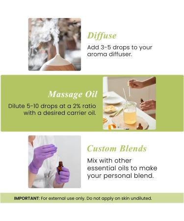 Handcraft Blends Bright & Bold Set: Lemongrass and Clove Essential Oils (2 x 4 Fl Oz) 100% Pure & Natural for Diffuser Aromatherapy and DIY Projects - Buy Online on GoSupps.com