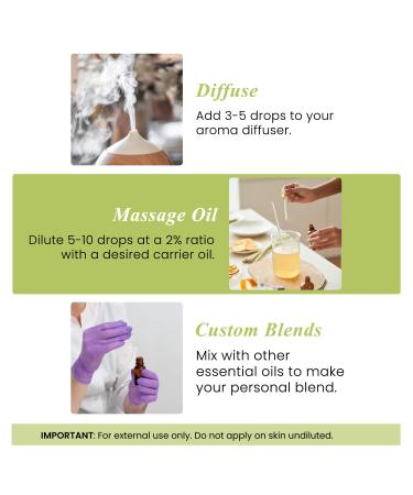 Handcraft Blends Toning Body Set: Sweet Almond Oil (16 Fl Oz) and Lemongrass Essential Oil (4 Fl Oz) 100% Pure & Natural for Invigorating Massage and Skin Firmness - Buy Online on GoSupps.com