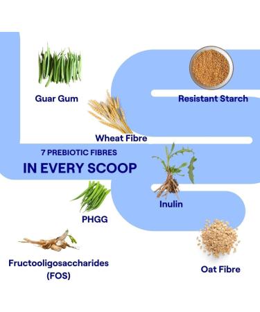 Prebiotic Fibre Supplement for Gut Health - 1/3 NHS Daily Fibre - 300g - Gluten-Free, Non-GMO, 100% Natural - Metabolic Booster for Adults and Kids - Buy Online on GoSupps.com