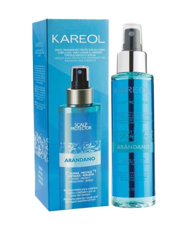 Blueberry Spray Protection Strength and Moisture 120 ml