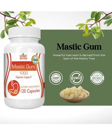Logic Nutra Premium Mastic Gum 1000mg Digestive support - 120 Capsules - Buy Online on GoSupps.com