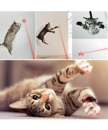 Cat Toys for Dog Chase and Catch Multi Pattern LED Pointer Light Interactive Kitten Toy Stainless Steel Mini LED Flashlight with USB Rechargeable Exercise Training Pet Funny Cat Stick - Buy Online on GoSupps.com