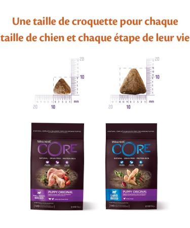 Wellness Core Original Puppy Natural and Grain-Free Large Breed Puppy Food Chicken 2.75 kg - Buy Online on GoSupps.com