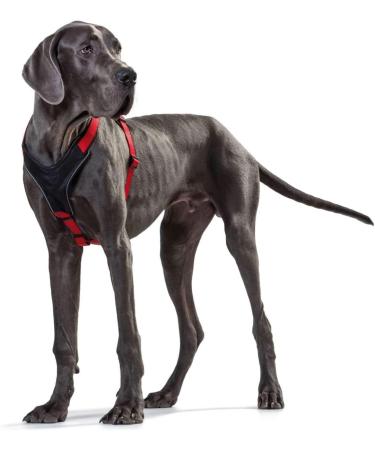 HUNTER NEOPRENE Dog Harness - L-XL (77-100 cm) Nylon & Padded Red/Black - International Shipping Available - Buy Online on GoSupps.com