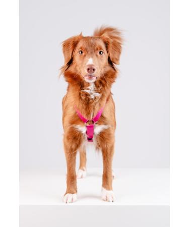 CHABA Medium Dog Harness - Anti-Pull Adjustable & Comfortable Step-In Design for Running - Classic Control Harness in Fuchsia & Pink - Buy Online on GoSupps.com