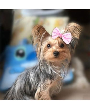 Buy Balacoo 10-Piece Animal Hair Loops with Crocodile Terminals - Bowknot Hair Clips for Small Dogs Cats and Kittens | Pet Hair Care Accessories in Random Colors - Buy Online on GoSupps.com