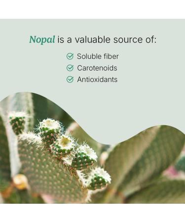 Santo Remedio Super Nopal Cactus Capsules with Chia Prickly Pear Supplement Gluten Free Non-GMO No Added Sugar 120 Capsules (60 Servings) Wellness Support Gift for Family - Buy Online on GoSupps.com