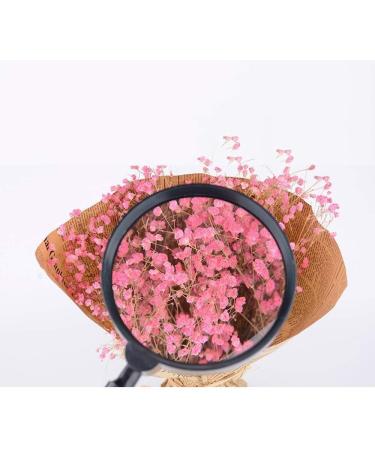 Magnifying Glass 5X Handheld Reading Magnifier - for Book Newspaper Reading Classroom Science Made in China - Buy Online on GoSupps.com