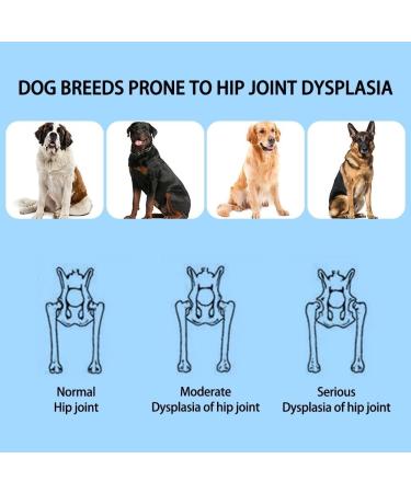 DONGKER Dog Knee Brace Adjustable Dog Knee Brace for Dogs Hind Legs Recover - Buy Online on GoSupps.com