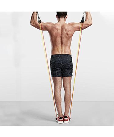 Youding Stretch Bands - Comfortable Elastic Exercise Rope for Strength Training & Muscle Development - Buy Online on GoSupps.com