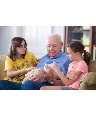 Joy for All Orange Tabby Cat - Realistic Interactive Companion for Cat Lovers | Shop Internationally - Buy Online on GoSupps.com